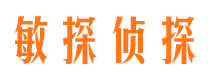 宁城市侦探公司